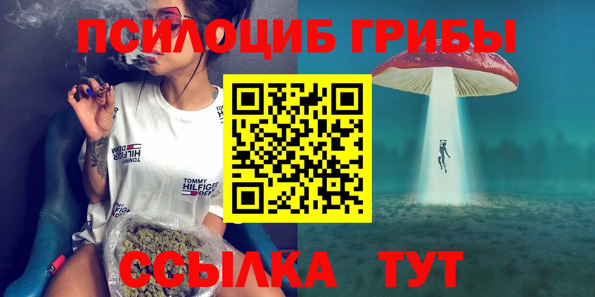 Выкса  Псилоцибиновые грибы GOLDEN TEACHER  Вход с VPN  Псилоцибиновые грибы мицелий 