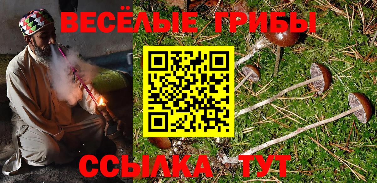 Псилоцибиновые грибы Psilocybine cubensis Выкса